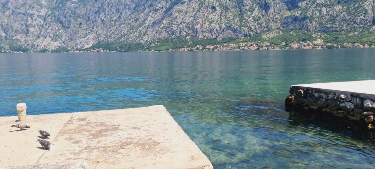 Apartman Katarina Kotor Exterior foto