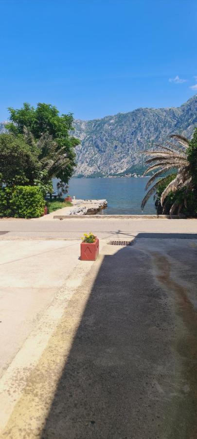 Apartman Katarina Kotor Exterior foto